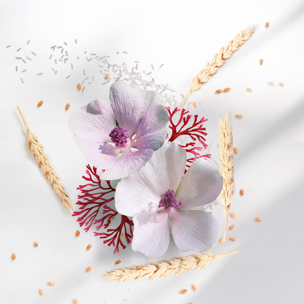 elenature Rituel Shampooing Fortifiant & Après-shampooing Restructurant Coffret Cheveux