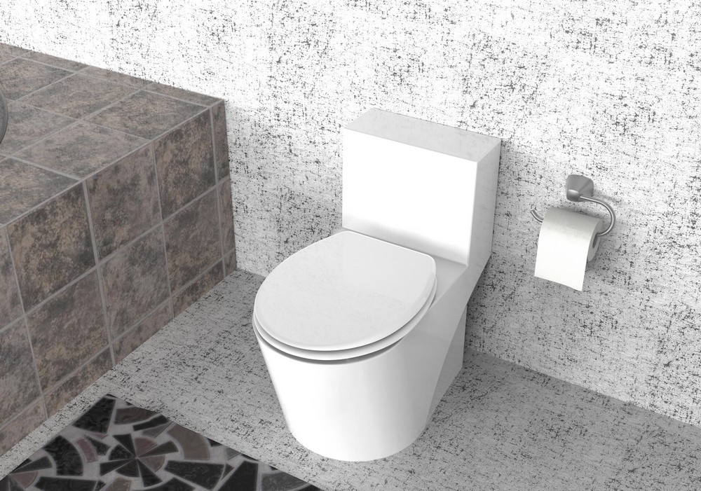 K&H Sanitary Duschwell Duroplast WC-Sitz - Weiß Eco