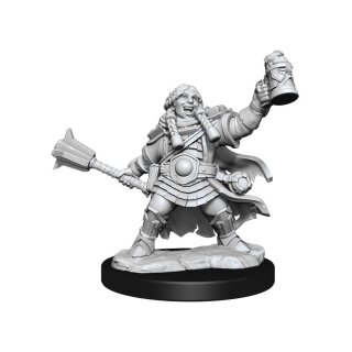 D&D Frameworks: Dwarf Cleric Female