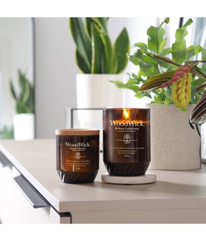 WoodWick ReNew Tomato Leaf & Basil Duftkerze-184 g