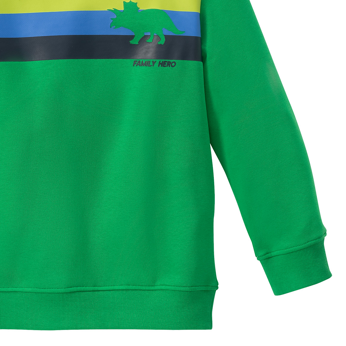 Jungen Sweatshirt mit Dino-Motiv
