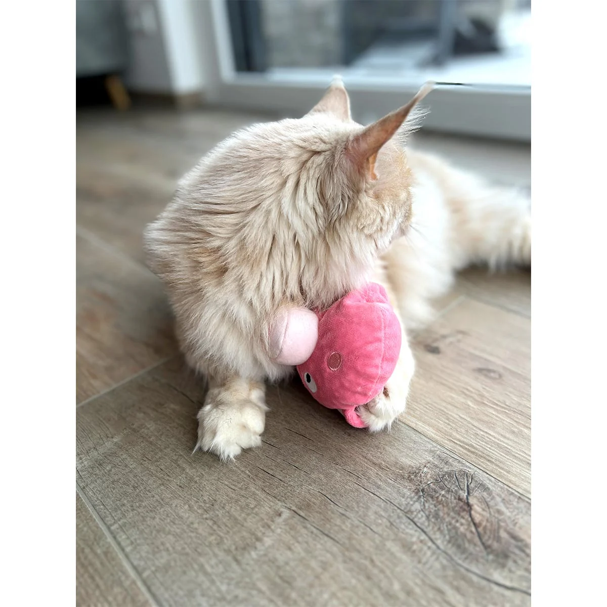 Aumüller Katzenspielkissen Schweinchen Peggy kaufen