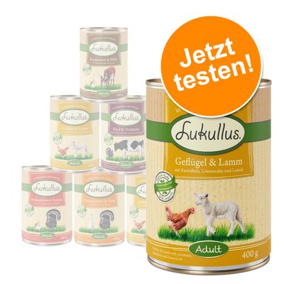Probiermix Lukullus Naturkost Adult