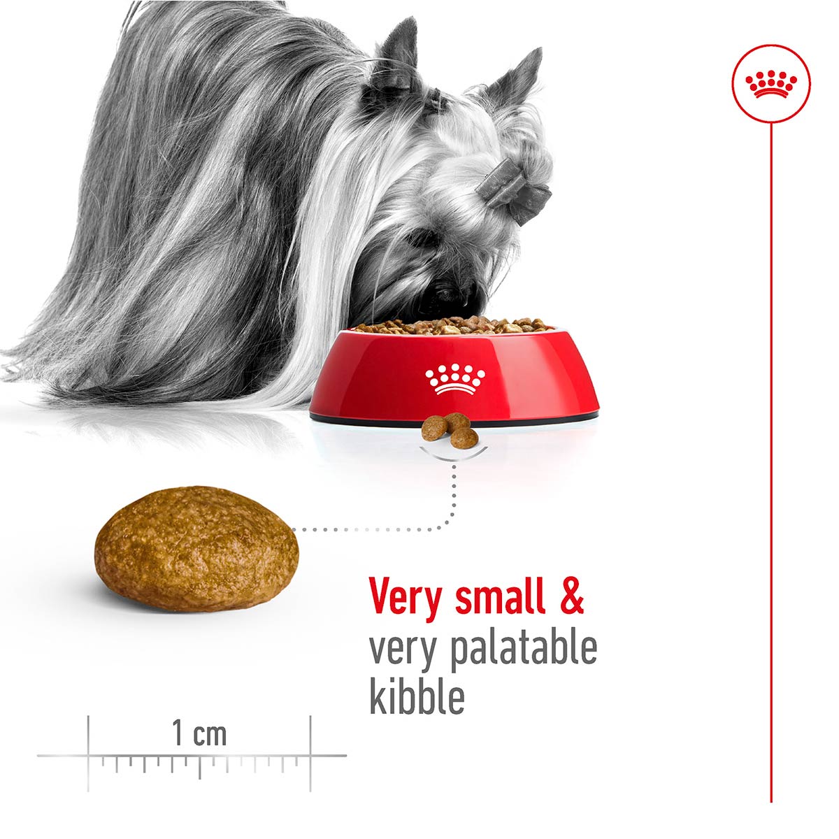 ROYAL CANIN X-SMALL Adult Trockenfutter für sehr kleine Hunde