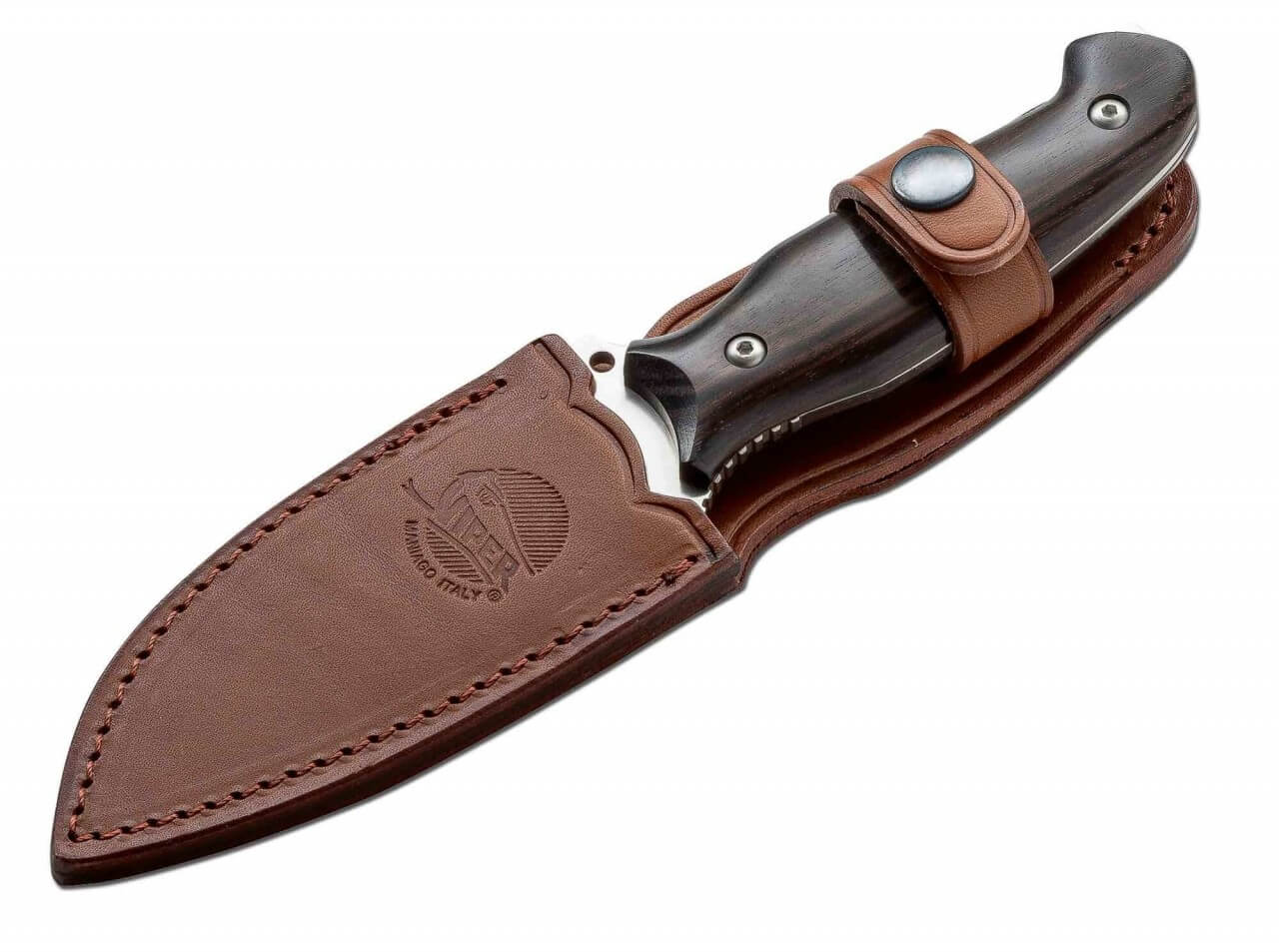 Pointer Ebenholz