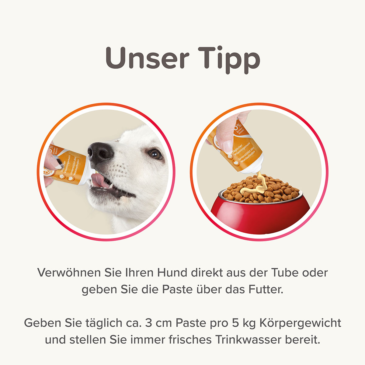 beaphar Multi-Vitamin-Paste für Hunde 250g kaufen bei ZooRoyal