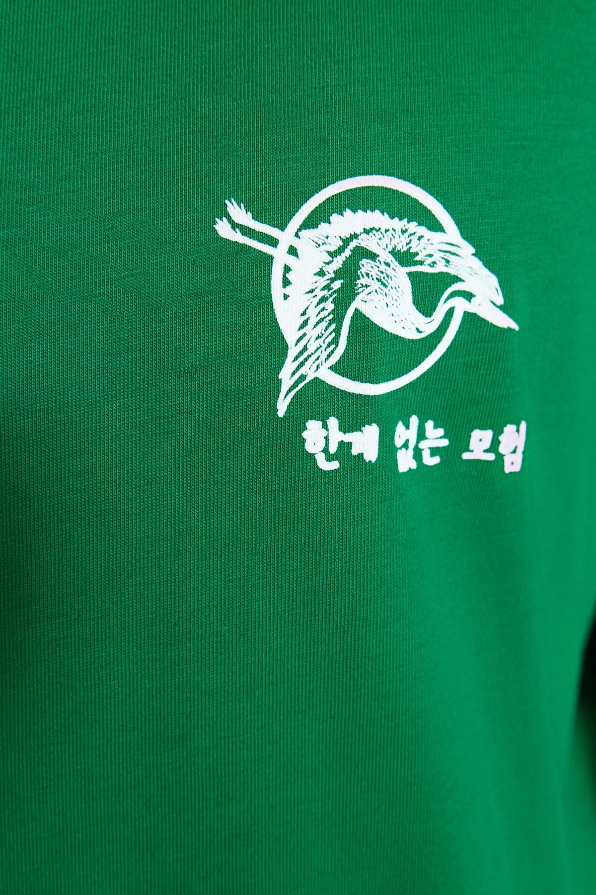 Trendyol Collection  Grünes, übergroßes/weit geschnittenes, kurzärmliges T-Shirt aus 100 % Baumwolle mit fernöstlichem Aufdruck TMNSS23TS00170