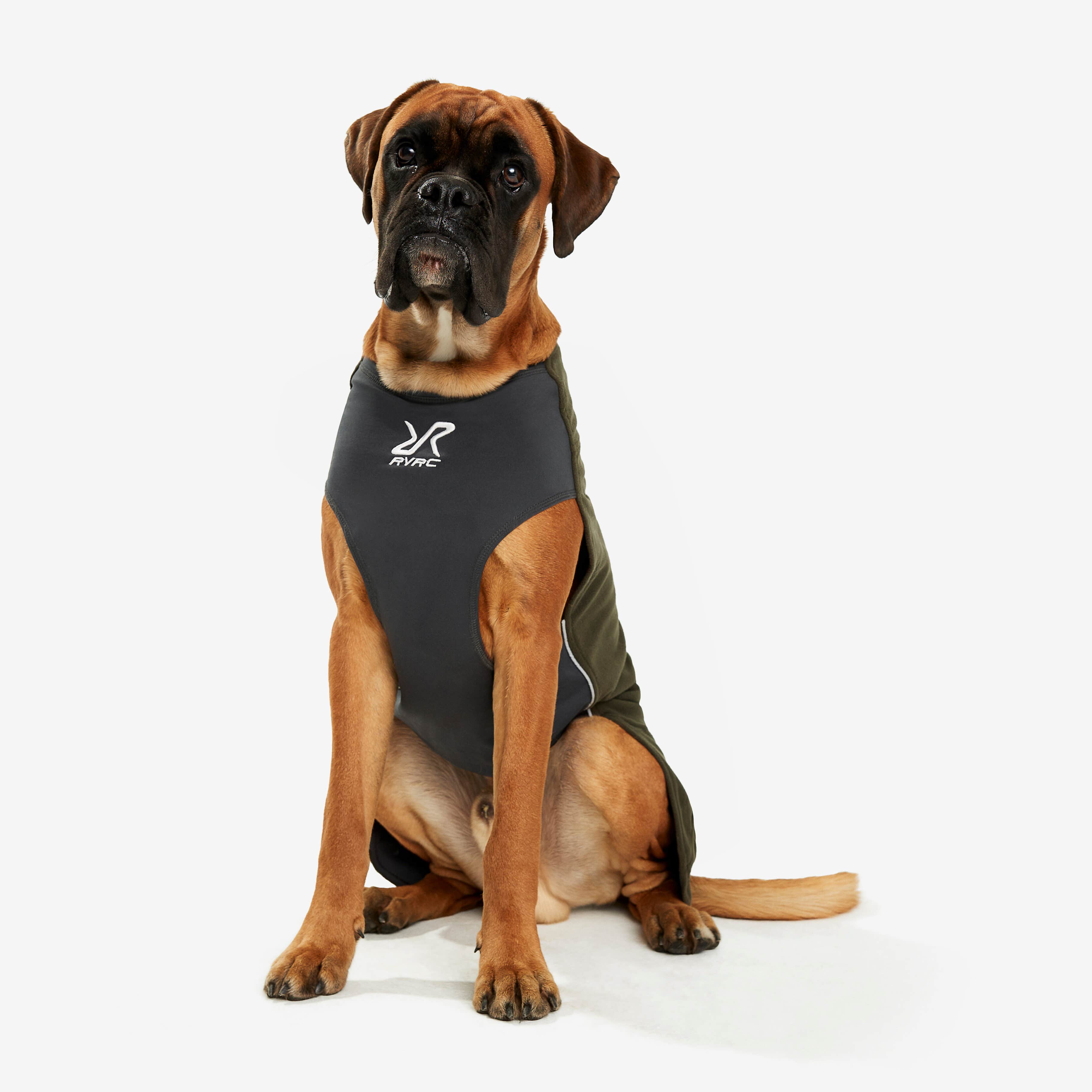 Trekker Fleece Chien Forest Night