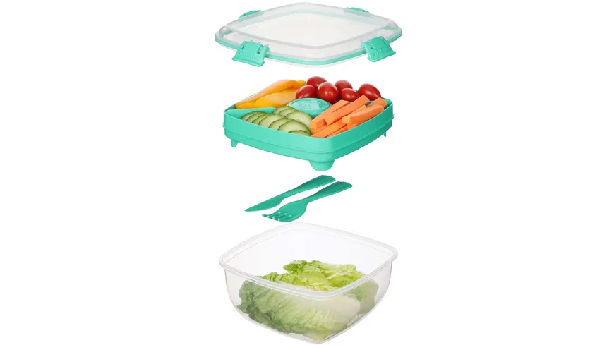 sistema Lunchbox SALATBOX TO GO 1,1l Achtung: diesen Artikel gibt es in verschiedenen farblichen Ausführungen. Sie erhalten nur 1 Artikel (zufällige Auswahl im Lager). Eine Vorauswahl ist leider nicht möglich.