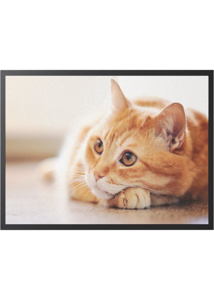 Fußmatte mit Katze
