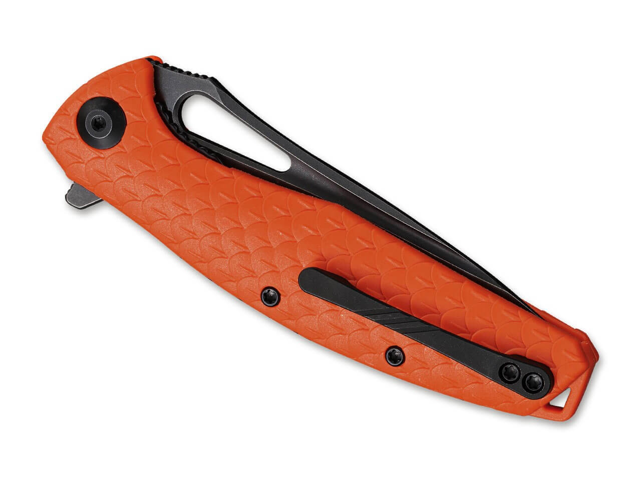 Wyvern Orange Dark SW
