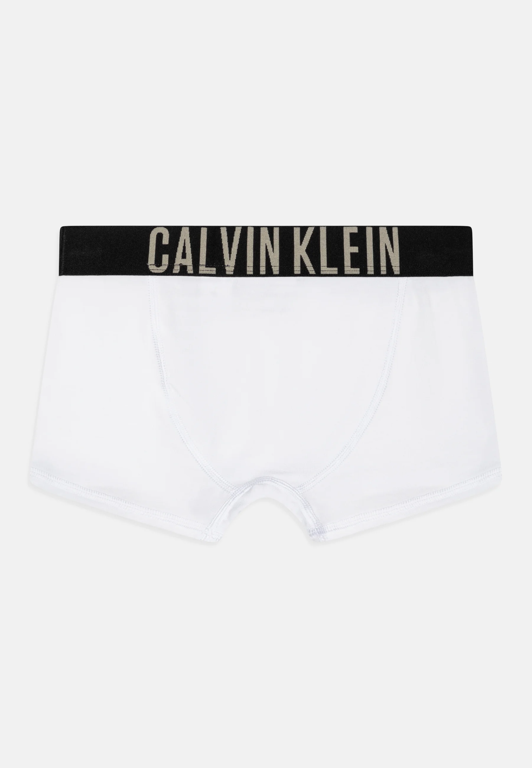 Calvin Klein Underwear TRUNK PACK DE 3 - Culotte