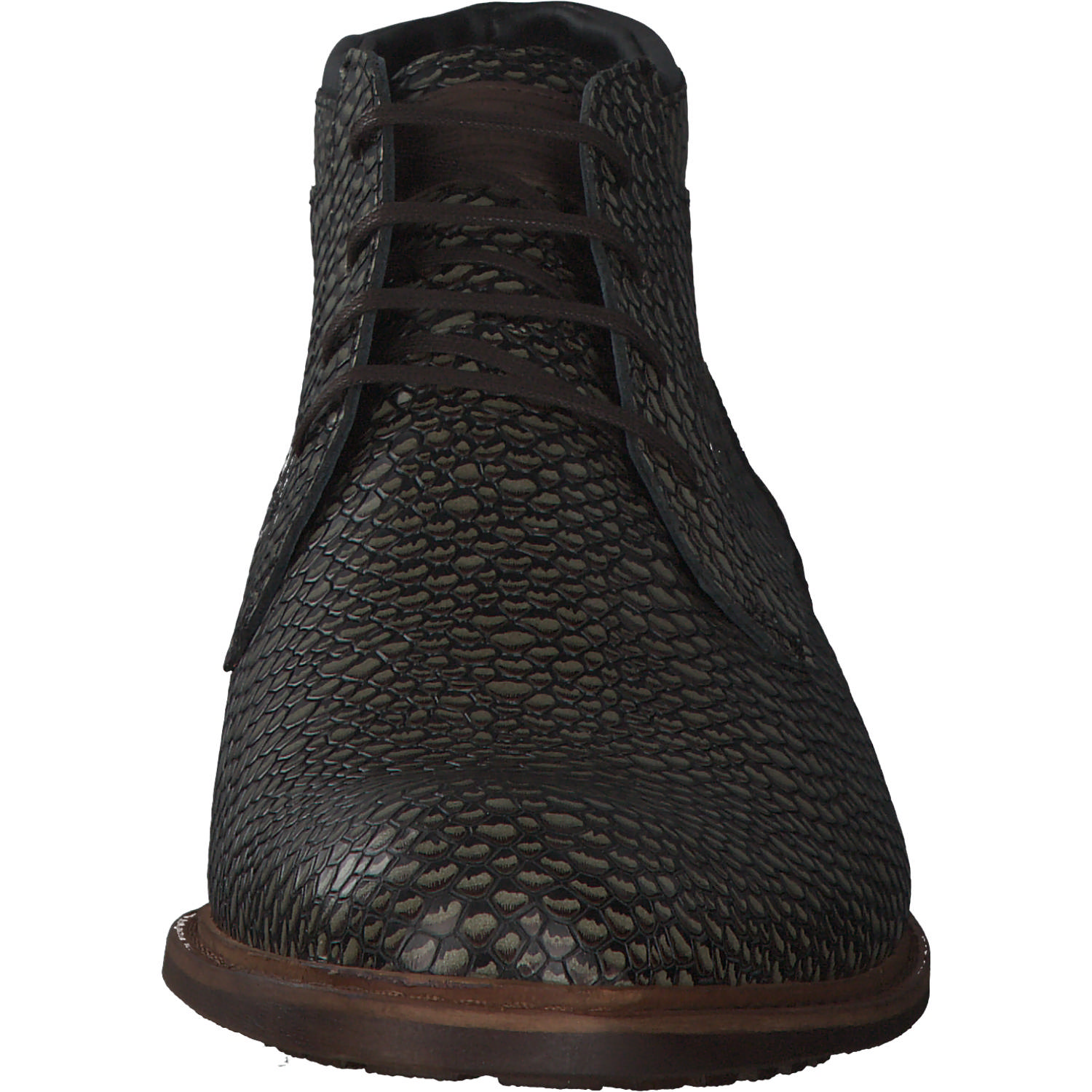 Floris van Bommel 50087, Stiefel, Herren, khaki