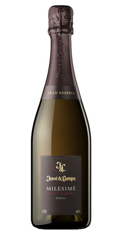 Juvé & Camps Cava Blanc de Noirs Brut Gran Reserva 2018