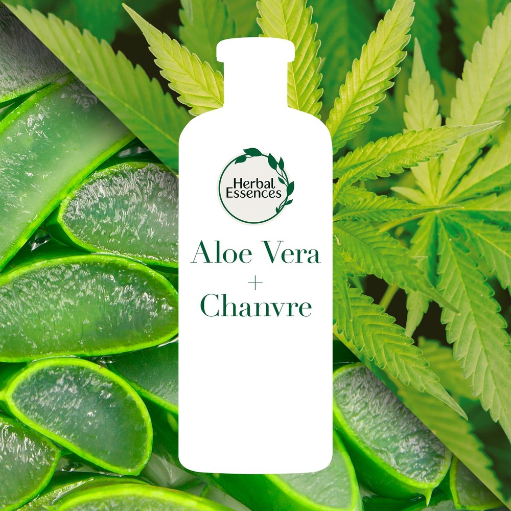 herbal essences Herbal Essences Shampoing Puissant AloeEt Chanvre 225 ml Shampoing