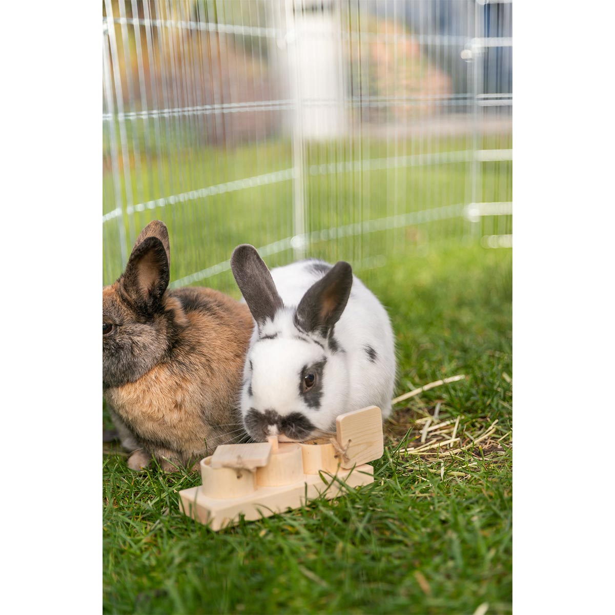 Trixie Snack Cups aus Holz 15 × 4,5 × 6 cm kaufen