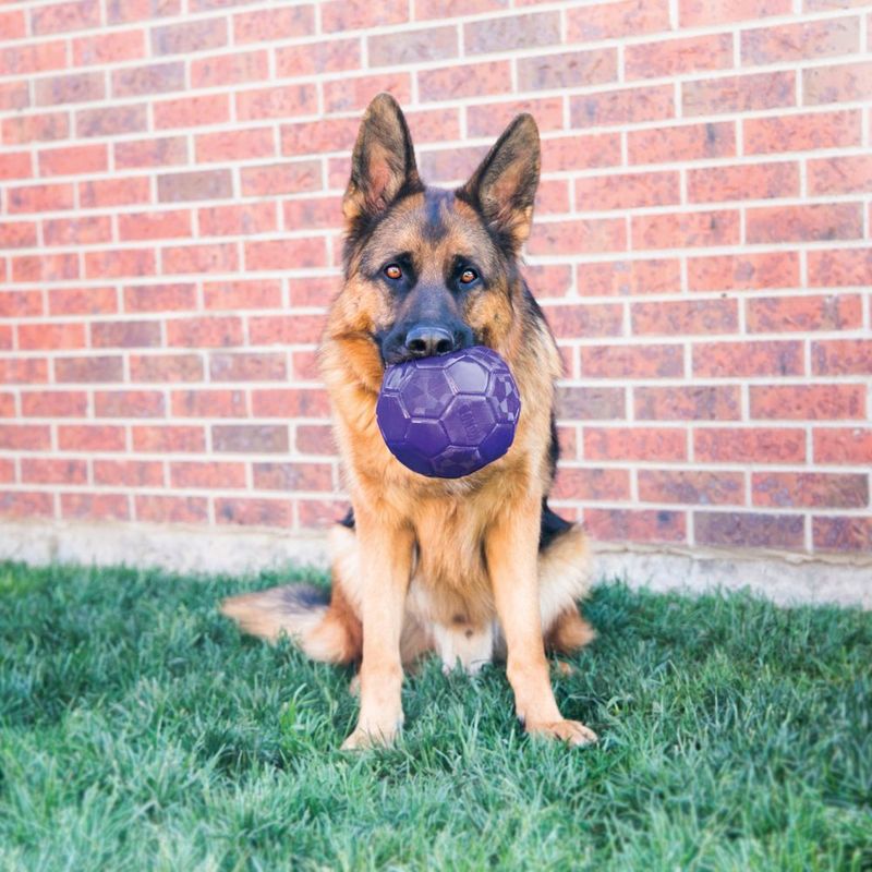 KONG Flexball Hundespielzeug zu TOP-Preisen