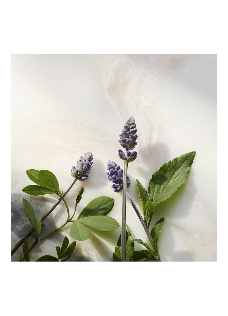 Rituals  The Ritual of Namaste Anti-ageing Day Cream - dagcrème navulling