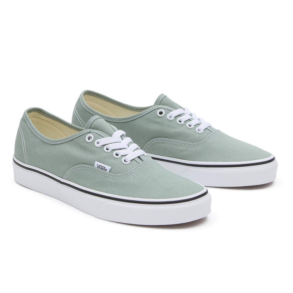 Vans Authentic VN000BW5CJL / grün
