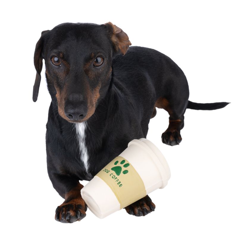 TIAKI Hundespielzeug Latex Kaffee zu TOP-Preisen