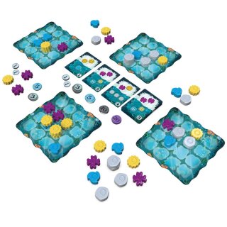 Reef - Second Edition (DE)