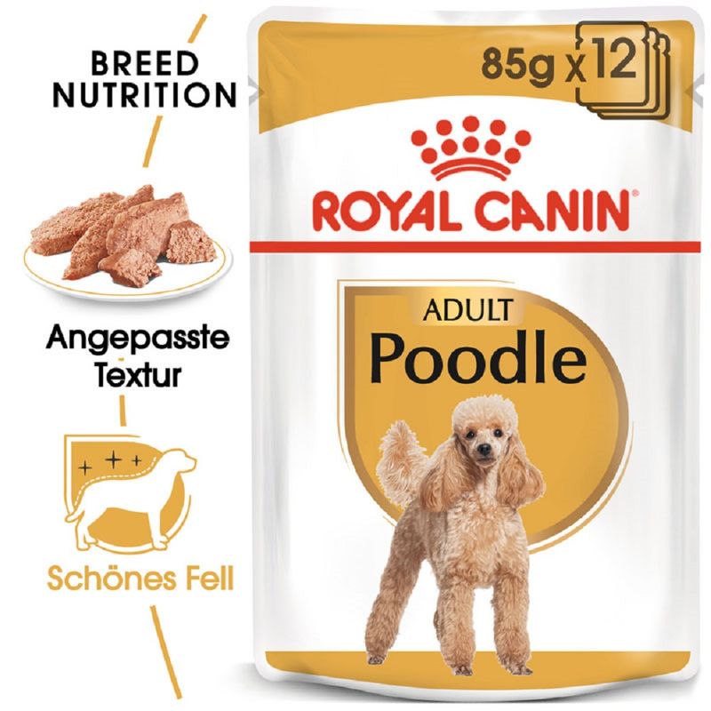 Royal Canin Poodle Adult zu TOP-Preisen