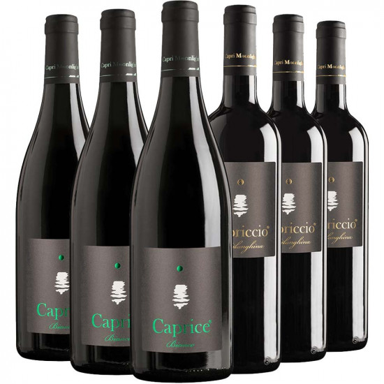 Kampanien Weißwein-Paket - Capri Moonlight