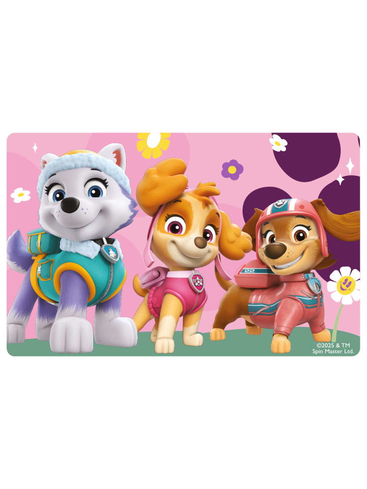 Paw Patrol Paw Patrol Brotdose Skye, Everest und Zuma Lunchbox mit Trennwand in lila günstig kaufen onesize
