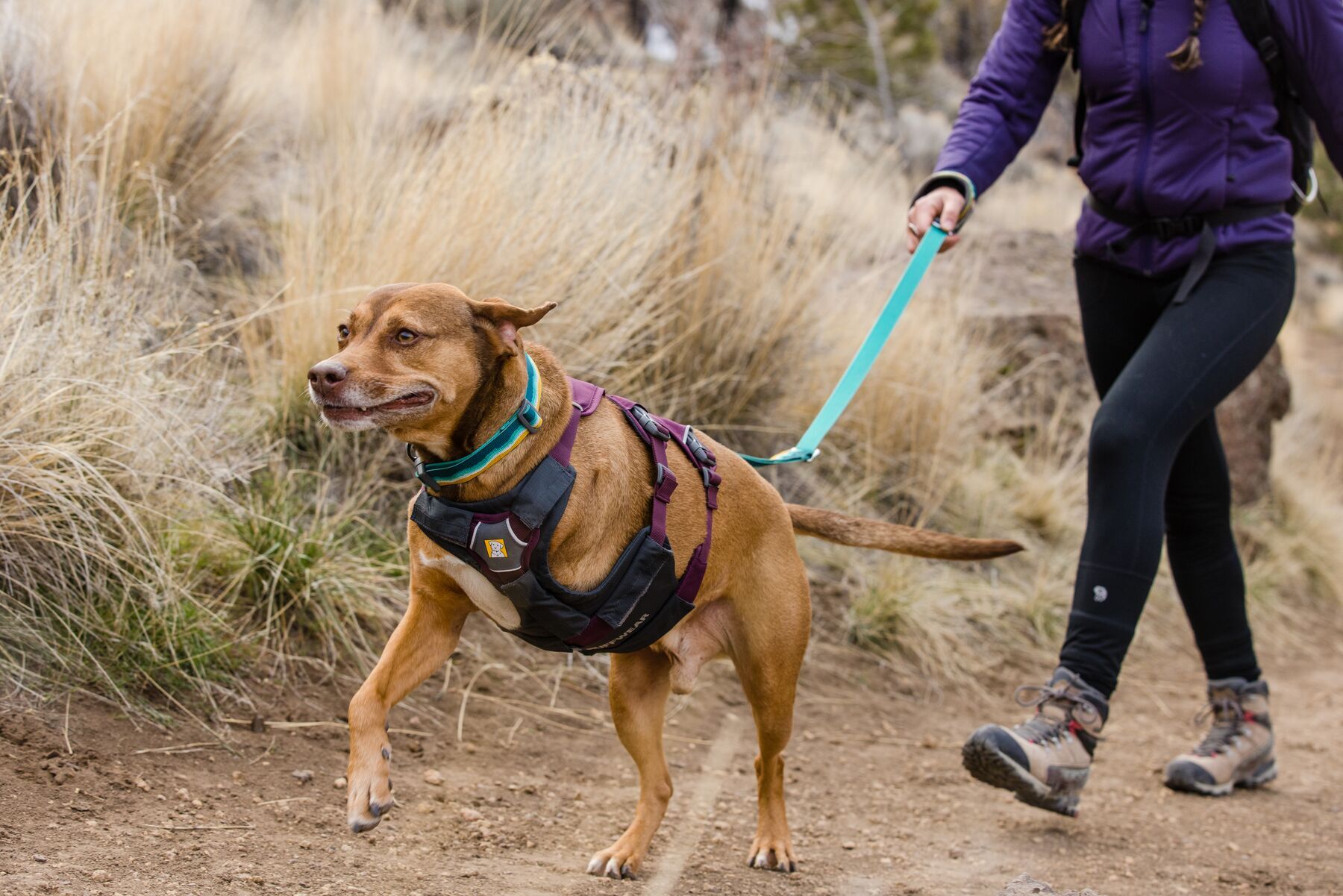 Ruffwear Hundeleinen Ruffwear Crag™ Leine grün