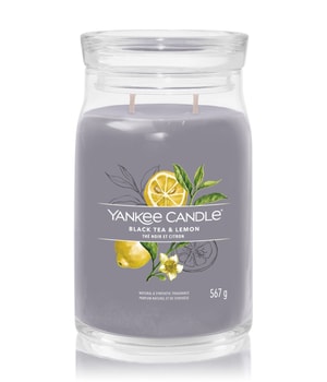 Yankee Candle Black Tea & Lemon Duftkerze-368 g