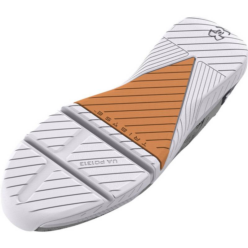 Under Armour TriBase Reign 5 Fitnessschuhe Herren