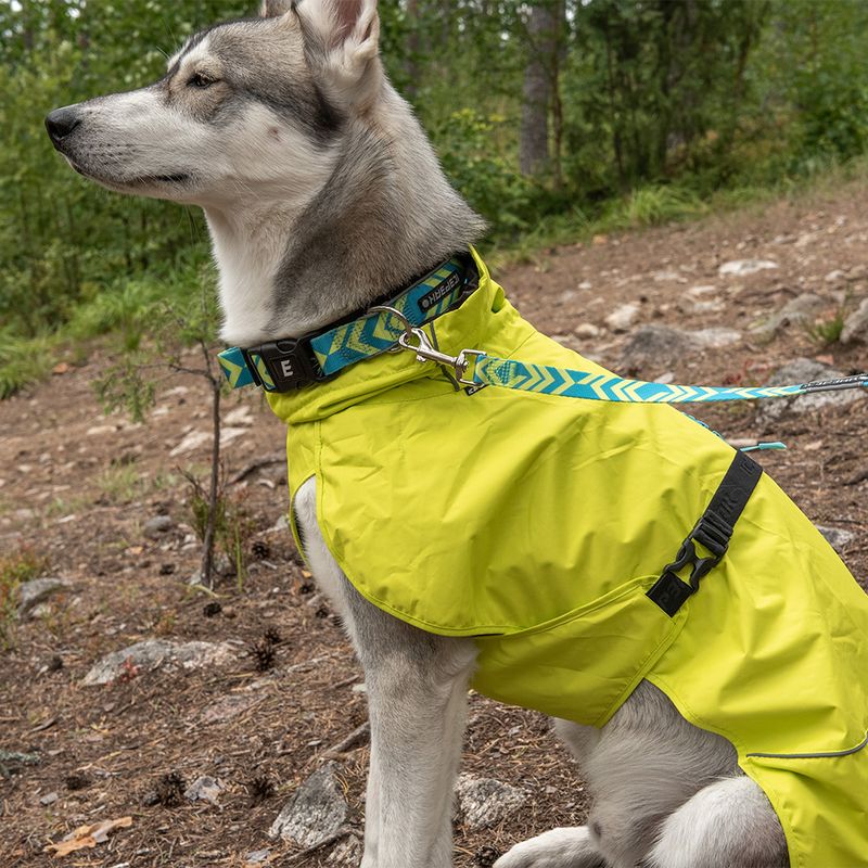 Icepeak PetLive Soft Halsband, aqua zu TOP-Preisen