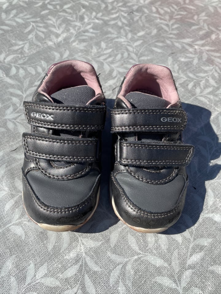Geox Sneakers 