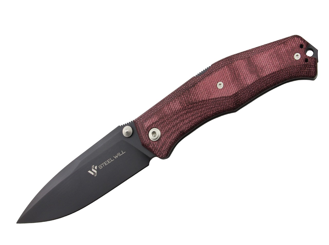 Gekko 1555