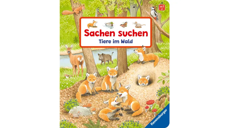 Sachen suchen: Tiere im Wald