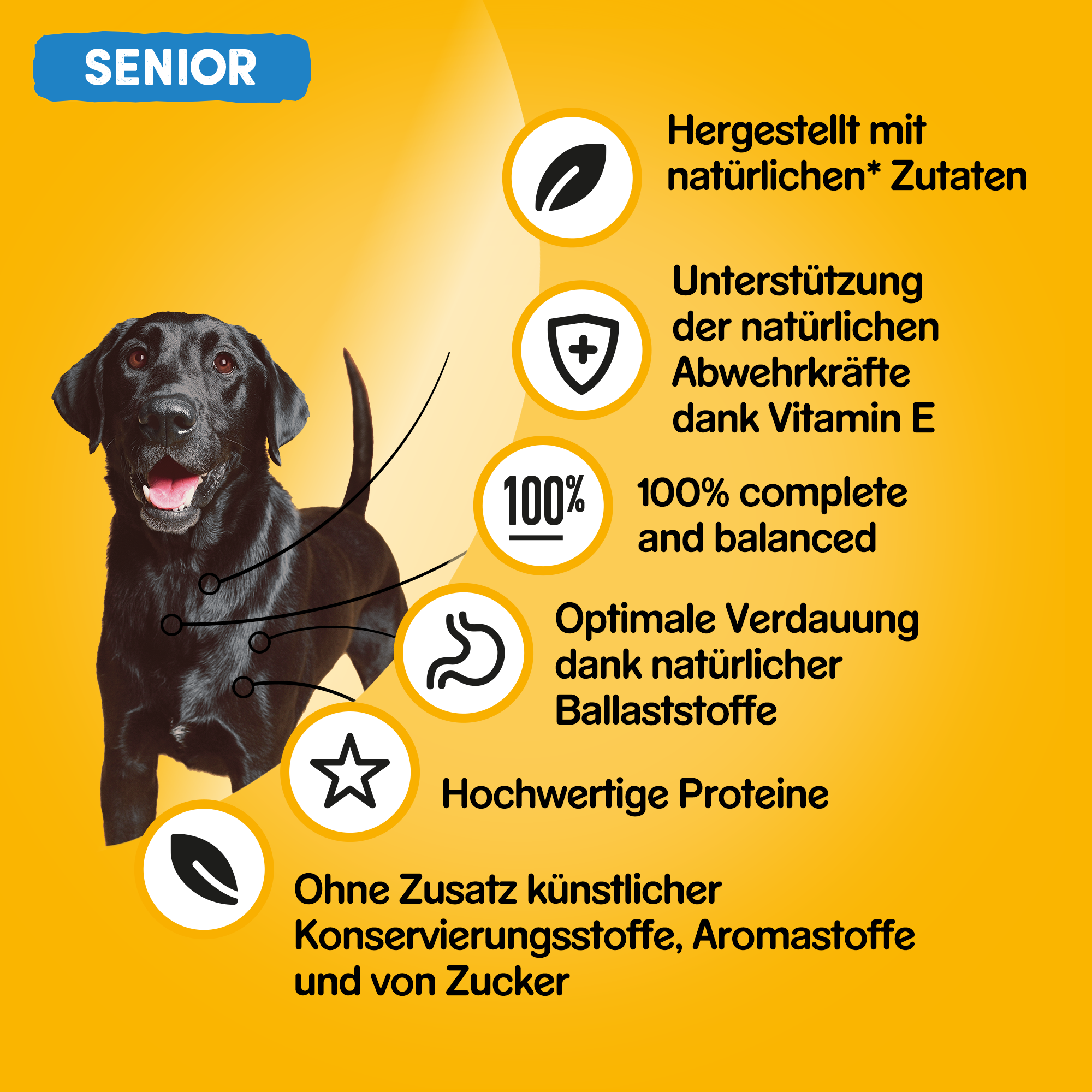 Pedigree Hundenassfutter Pedigree Senior 12x400g