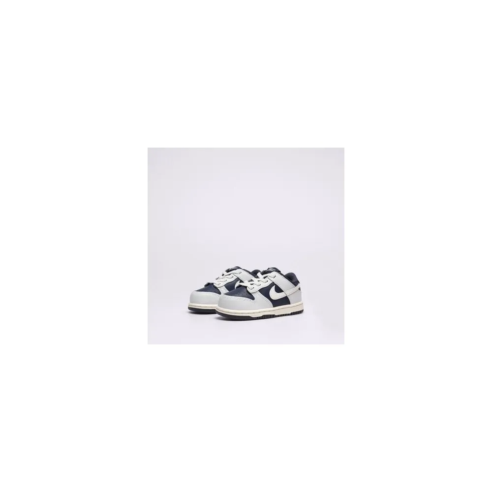 Nike Dunk Low FB9107-002 / grau