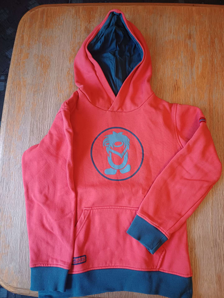 Trollkids Hoodie 