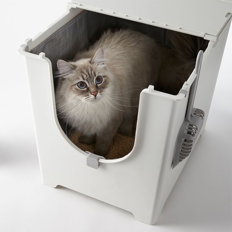 Modkat Katzentoilette Flip zu TOP-Preisen