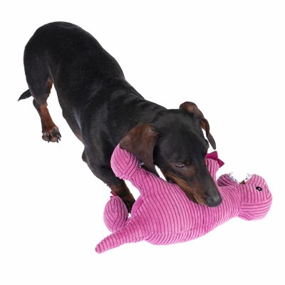 TIAKI Hundespielzeug T-Rex