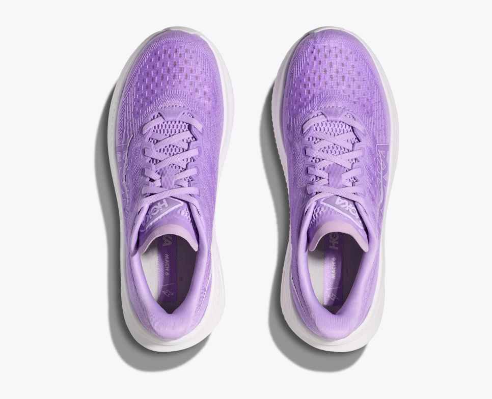 Mach 6 Aster Flower / White