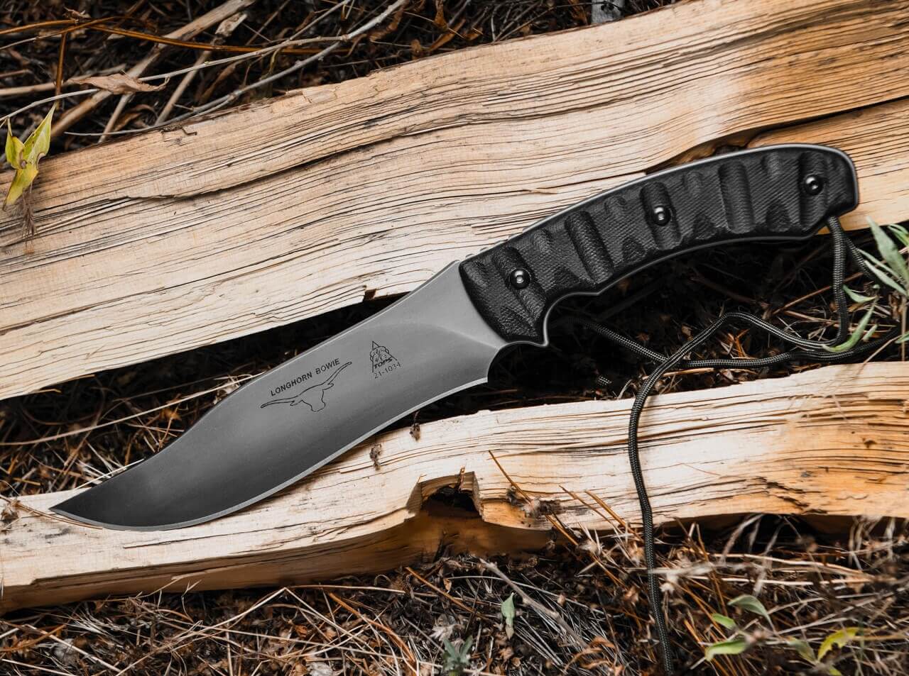 Longhorn Bowie