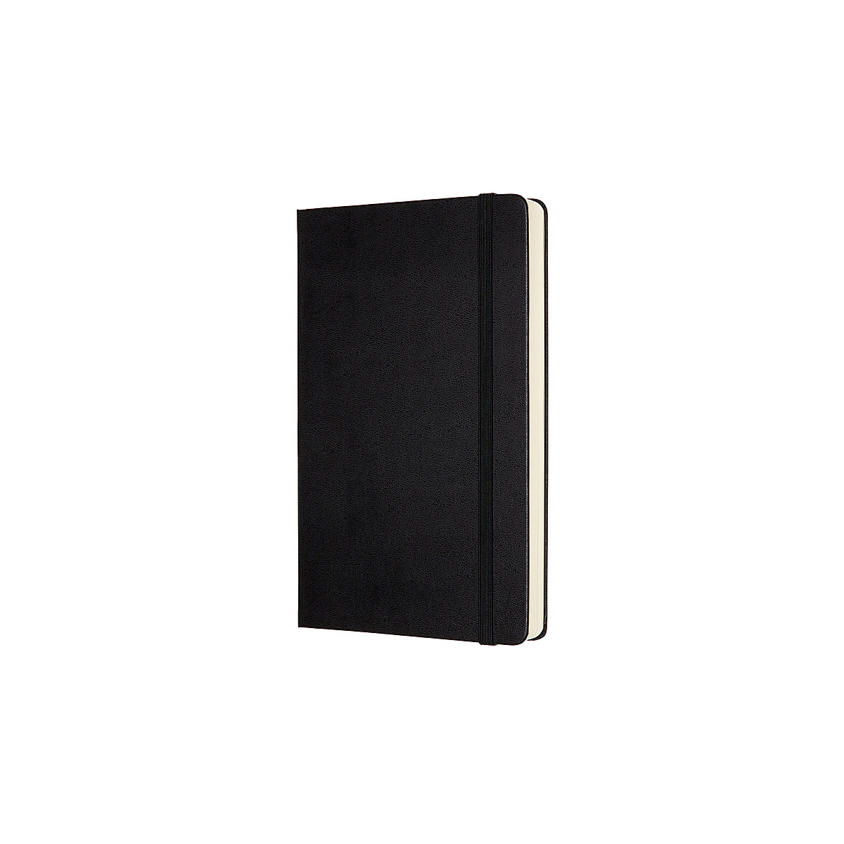 Notizbücher L/A5 - Punktraster Notizbücher