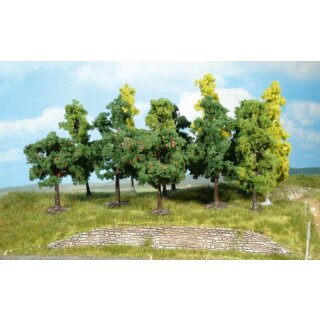 Bäume 8-13 cm (50 Stk.)