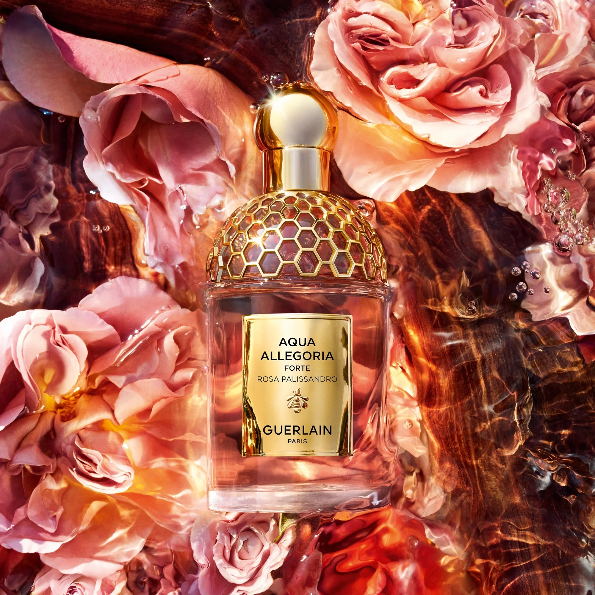 Aqua Allegoria Rosewood Forte - Eau de Parfum