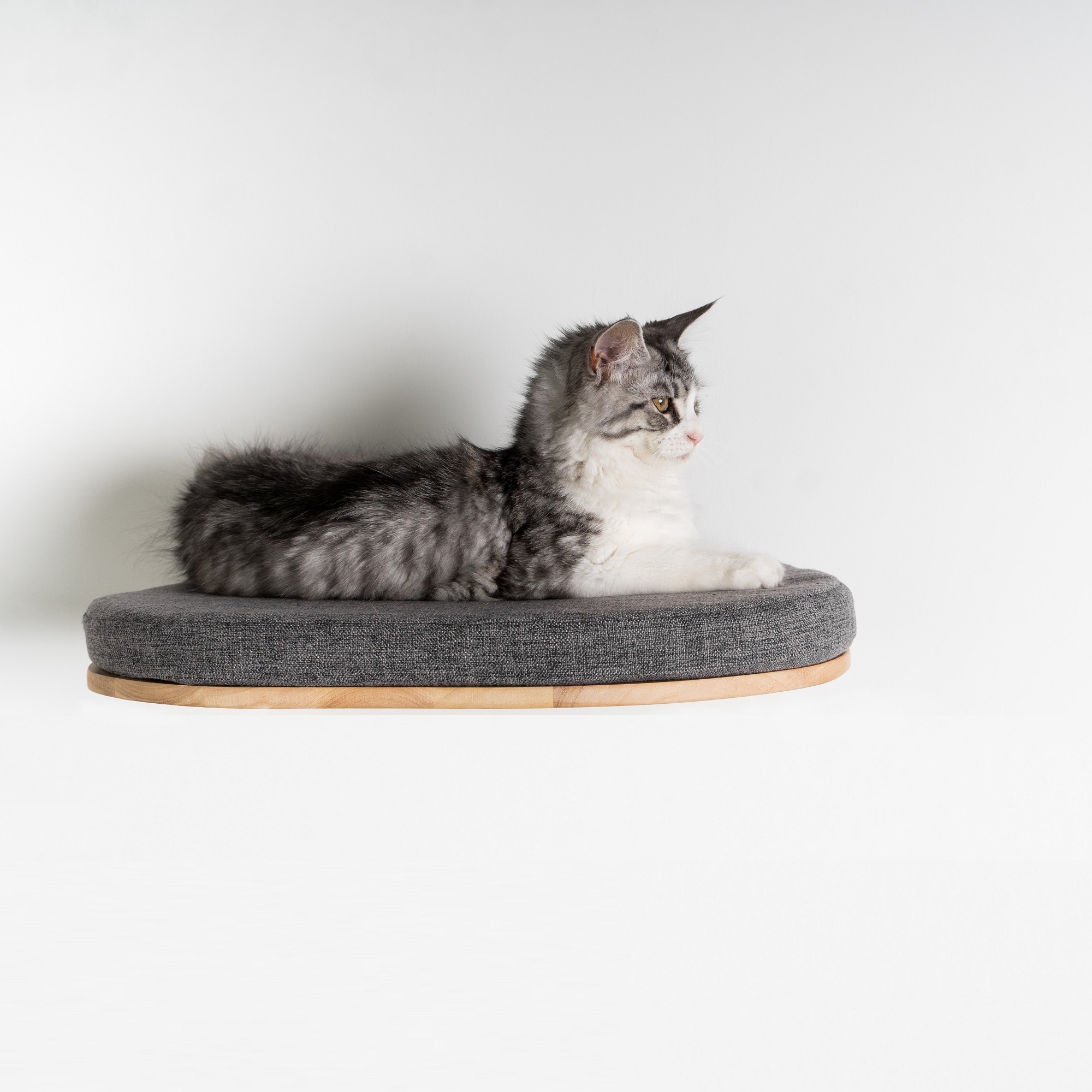 RHR Quality Katzenbetten & Katzensofas RHR Quality RHRQuality Wandmöbel Katzenbett de Luxe beige/ grau