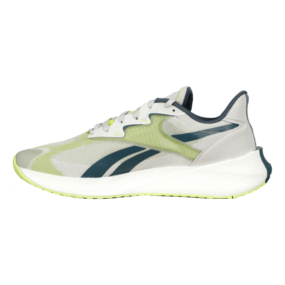 Reebok Floatride Energy Symmetros 2.5 IE4644 / grau