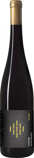 2019 Lemberger Barrique trocken Bio - Weingut Forsthof
