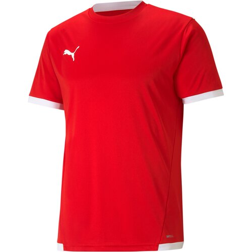 HERREN FANTRIKOT TEAMLIGA JERSEY