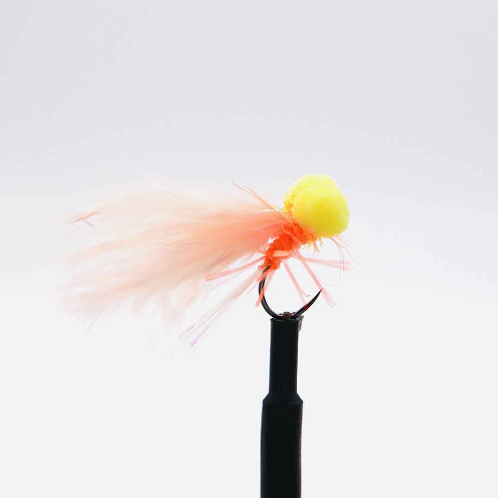 Fluorescenční korál Booby H10 (x3)